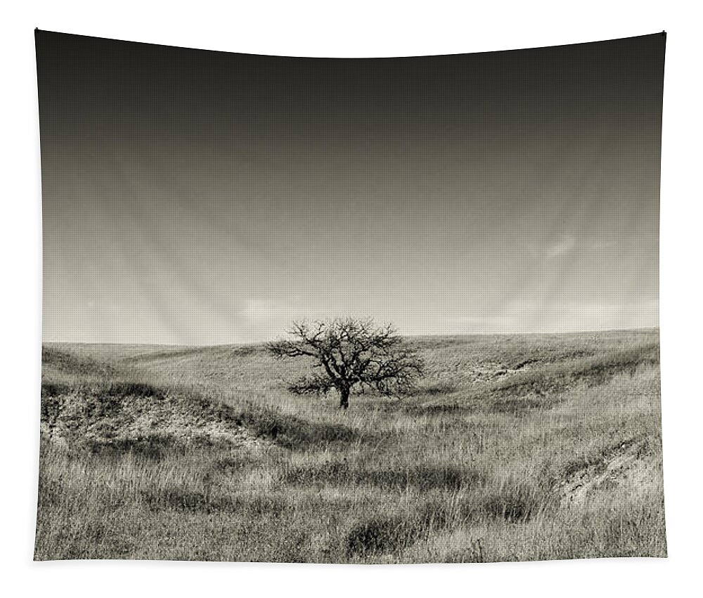 Tree Tapestry featuring the photograph Lone Tree Winter by Eric Benjamin