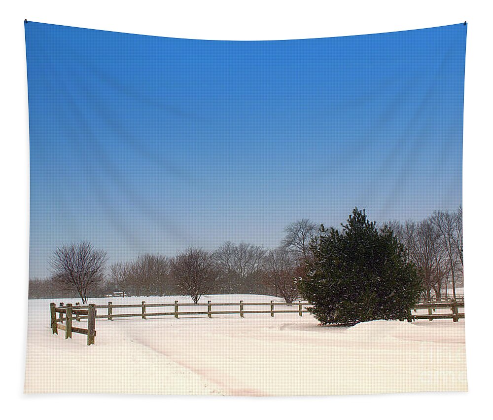 Winter Tapestry featuring the photograph Lone Winter Evergreen by Amy Lucid