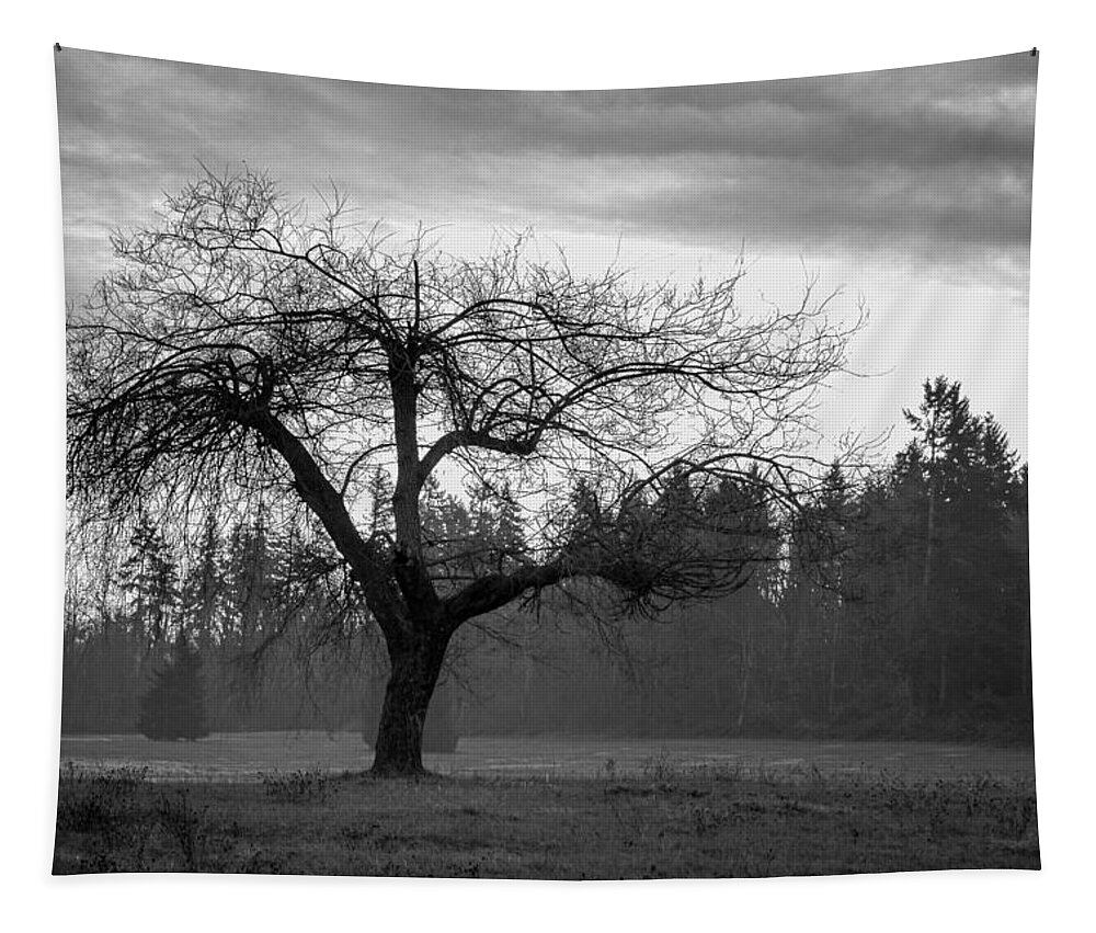 Black And White Tapestry featuring the photograph Lonely Tree by Ron Roberts