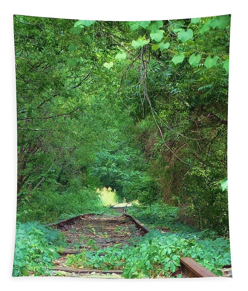 Railroad Tapestry featuring the photograph Lonesome Railroad #2 by Robert ONeil