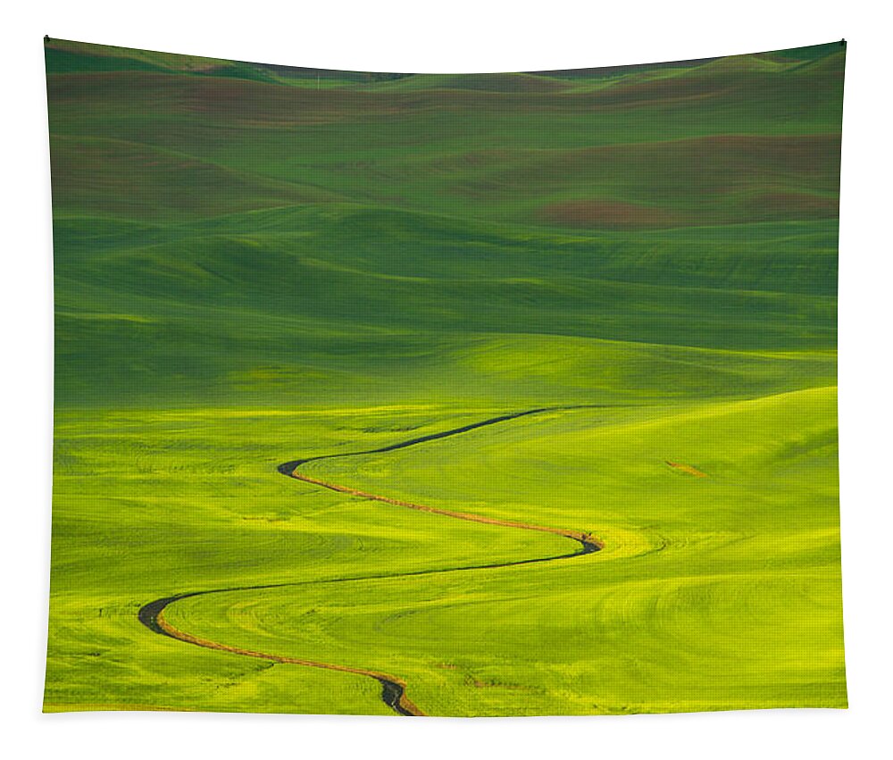 Spring Sunrise Tapestry featuring the photograph Long and winding road to by Kunal Mehra