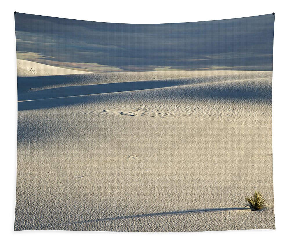 Jean Noren Tapestry featuring the photograph Long Shadow at White Sands by Jean Noren