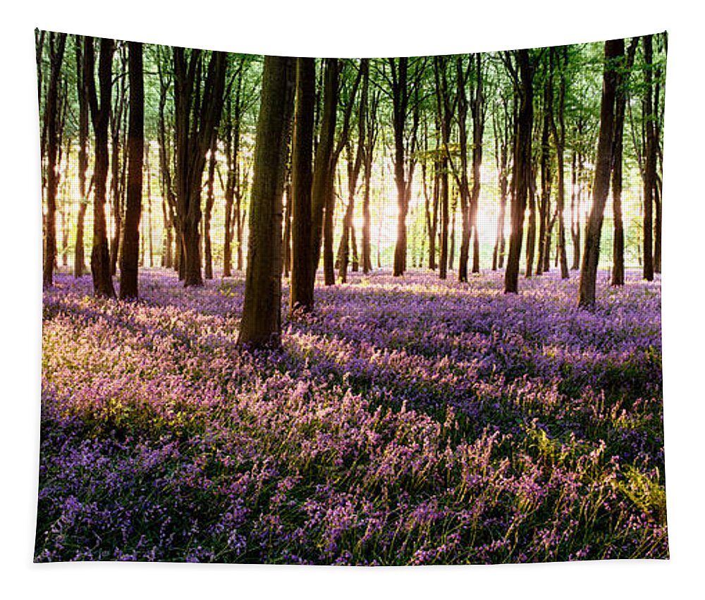 Flower Tapestry featuring the photograph Long shadows in bluebell woods by Simon Bratt