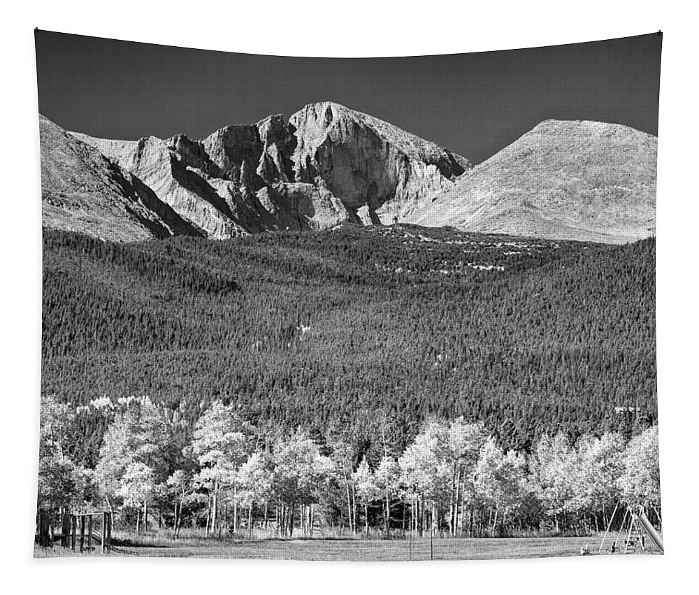 Longs Peak Tapestry featuring the photograph Longs Peak a Colorado Playground In Black and White by James BO Insogna