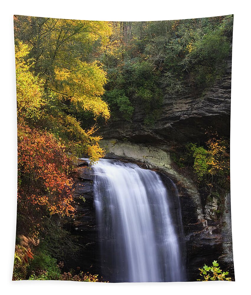 Looking Glass Falls Tapestry featuring the photograph Looking Glass Falls in North Carolina by Jill Lang