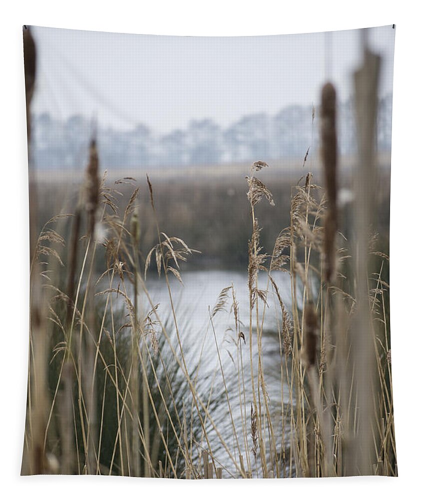 Reeds Tapestry featuring the photograph Looking through the Reeds by Spikey Mouse Photography