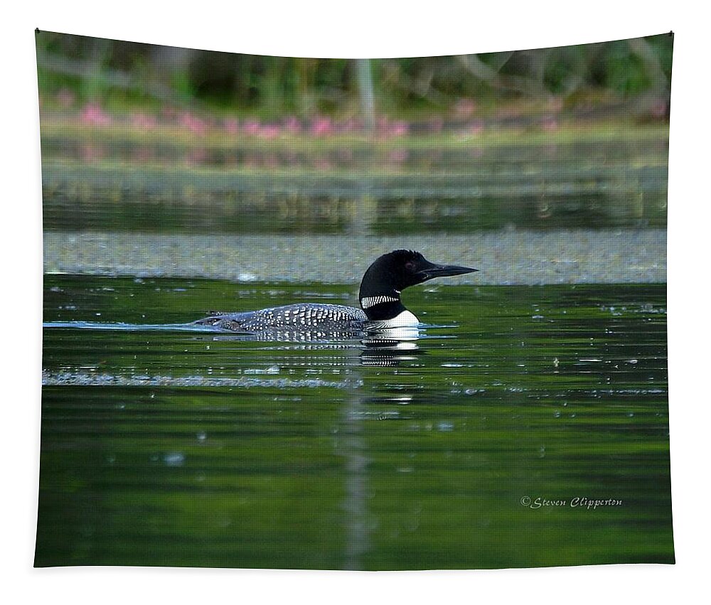 Loon Tapestry featuring the photograph Loon on Indian Lake by Steven Clipperton