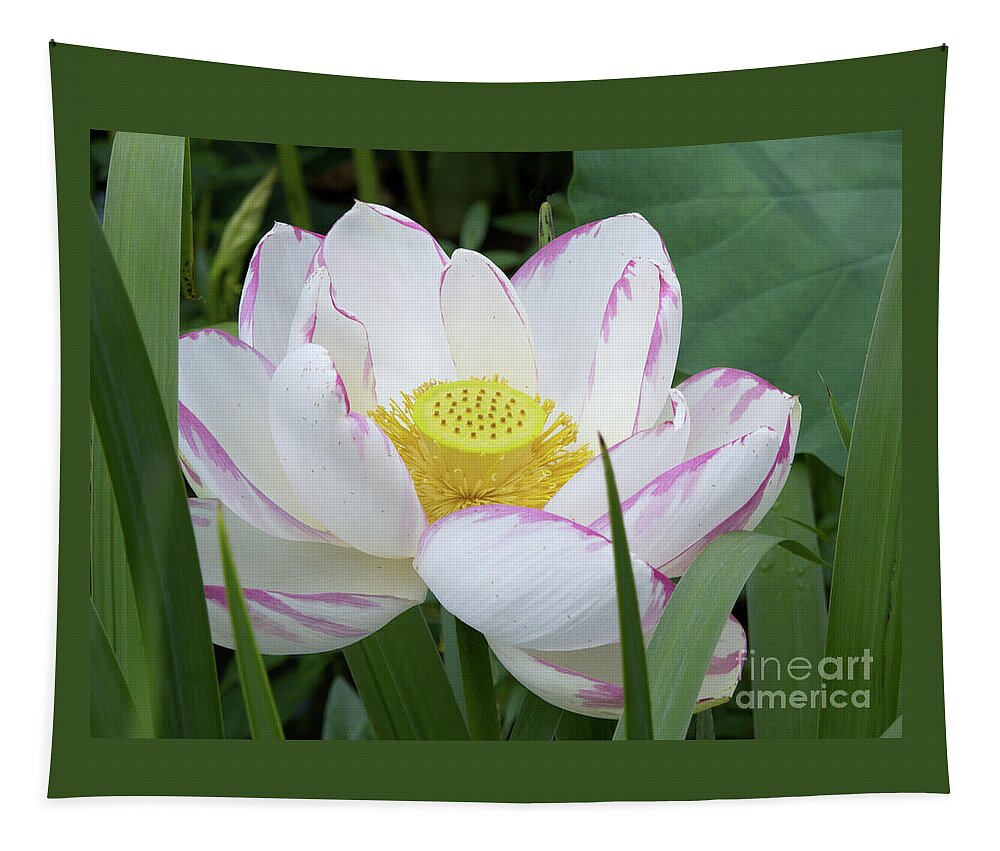 Lotus Tapestry featuring the photograph Lotus by Ann Horn
