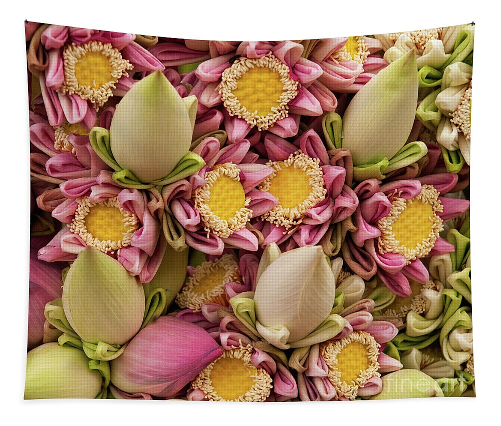 Bunch Tapestry featuring the photograph Lotus Buds 03 by Rick Piper Photography