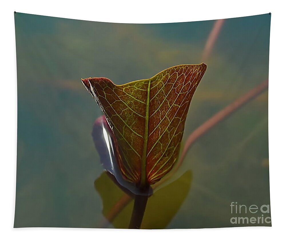 Michelle Meenawong Tapestry featuring the photograph Lotus Leaf by Michelle Meenawong