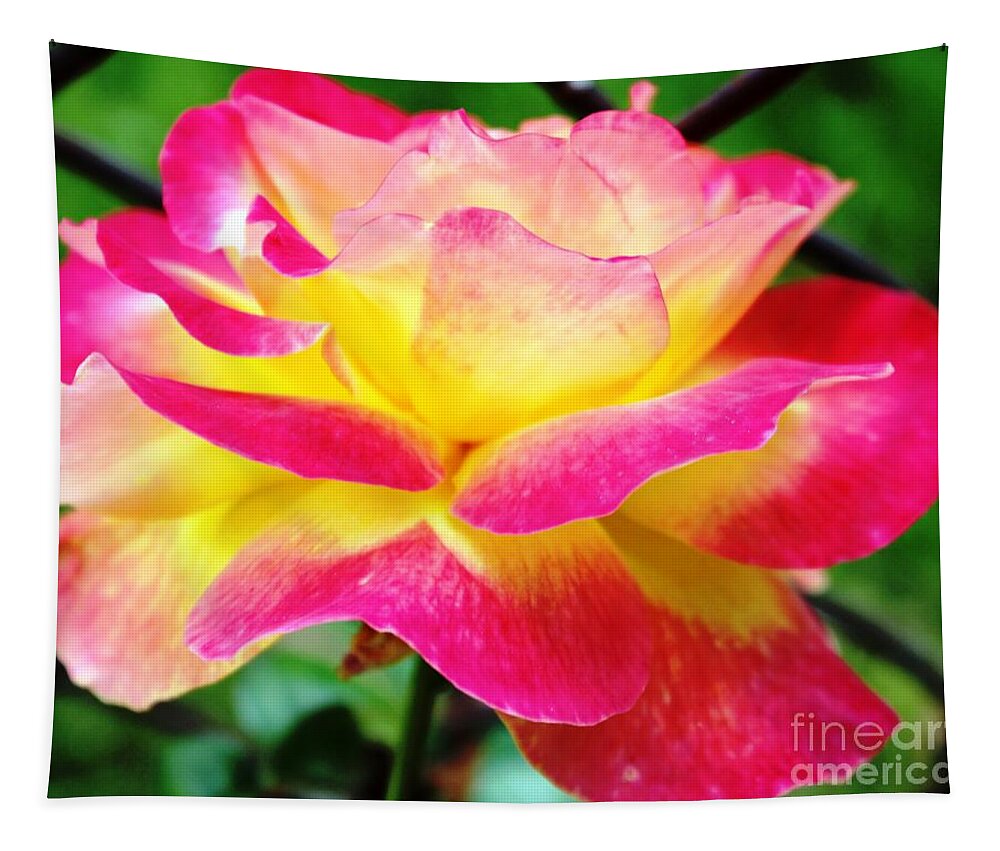 Rose Tapestry featuring the photograph Love And Peace Rose by Judy Palkimas