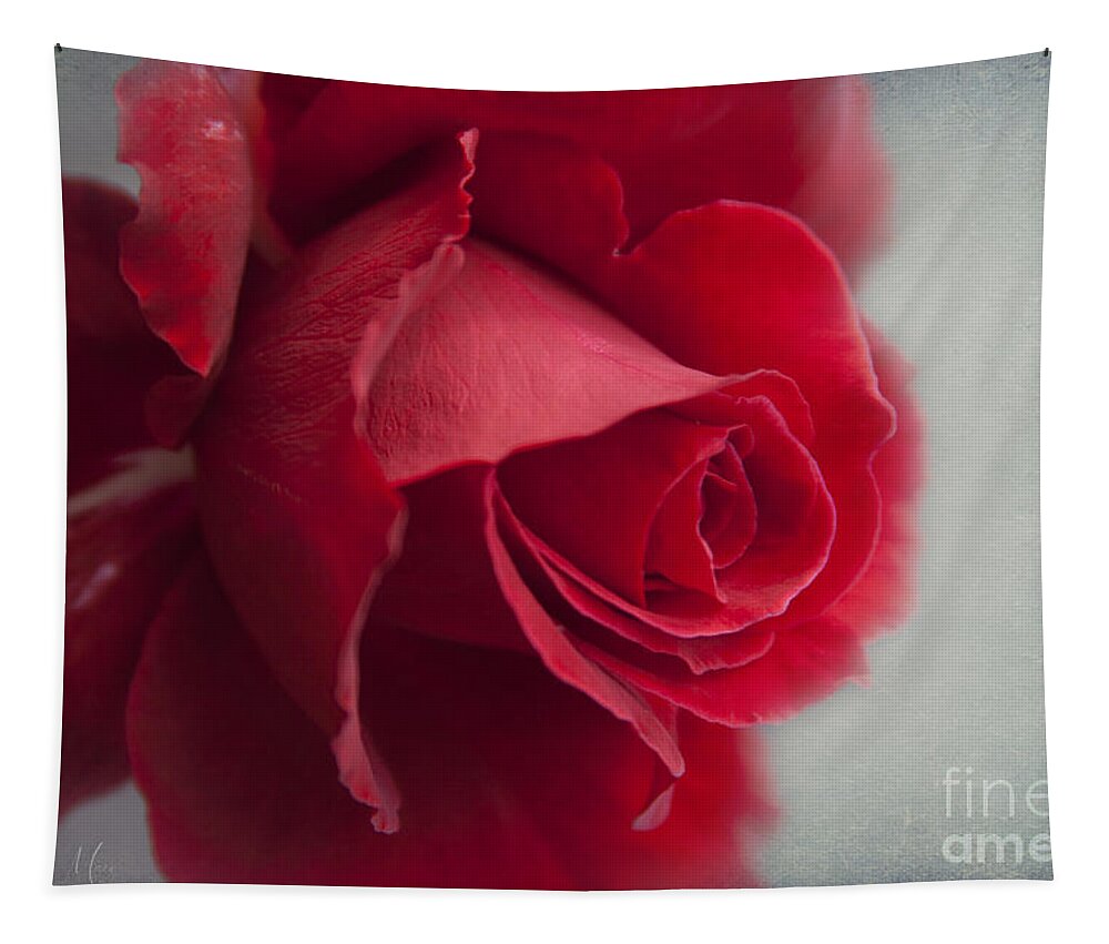 Love Is A Canvas Tapestry featuring the photograph Love is a Canvas by Sharon Mau