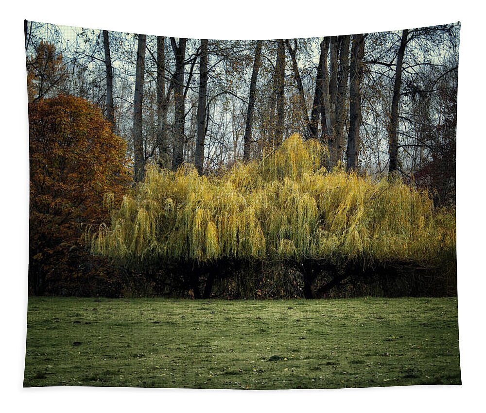 Willow Tree Tapestry featuring the photograph Lovely Willow by Belinda Greb
