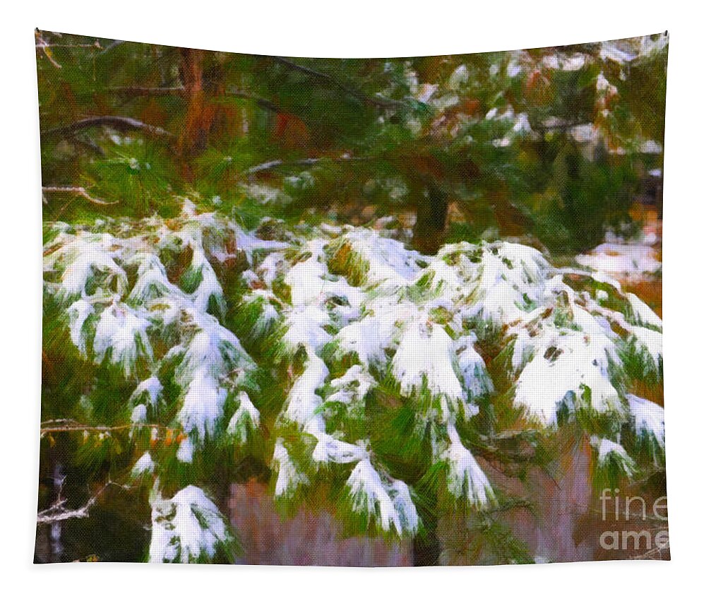 Snow Tapestry featuring the photograph Lowcountry Snow by Dale Powell