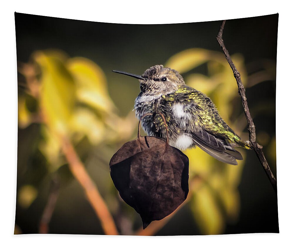 Hummingbird Tapestry featuring the photograph Luggage by Caitlyn Grasso