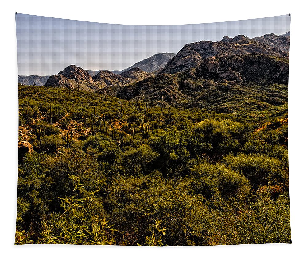 2011 Tapestry featuring the photograph Lush Foothills No.1 by Mark Myhaver