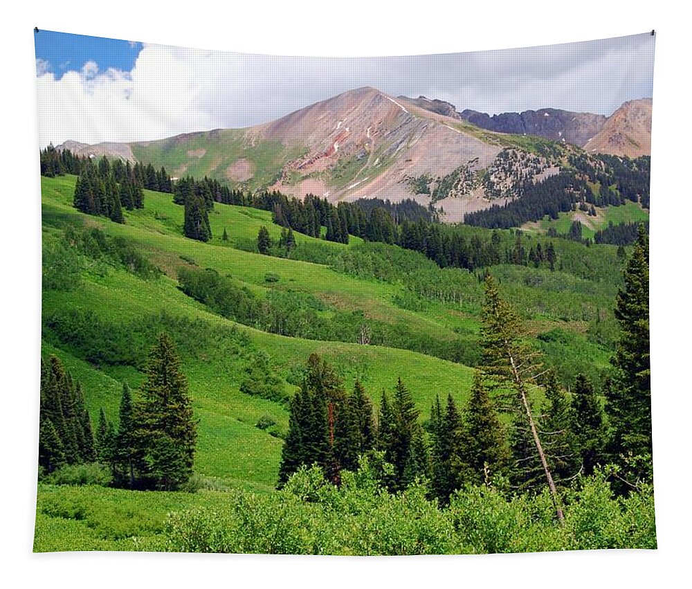 Colorado Tapestry featuring the painting Lush Green of a Colorado Summer by Cascade Colors