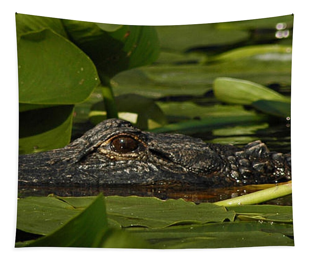 Alligator Tapestry featuring the photograph Lying in Wait by Vivian Christopher