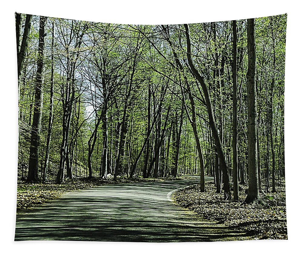 Usa Tapestry featuring the photograph M119 Tunnel of Trees Michigan by LeeAnn McLaneGoetz McLaneGoetzStudioLLCcom
