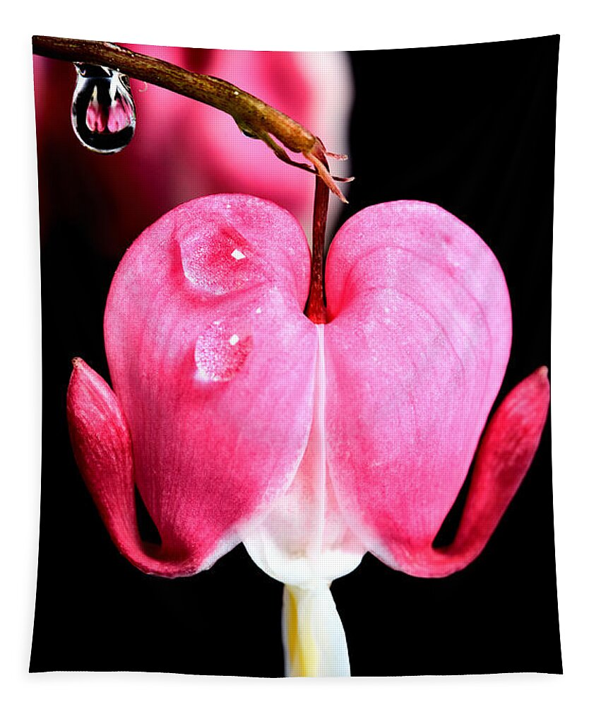 Macro Tapestry featuring the photograph Macro Bleeding Heart by Mark Duffy