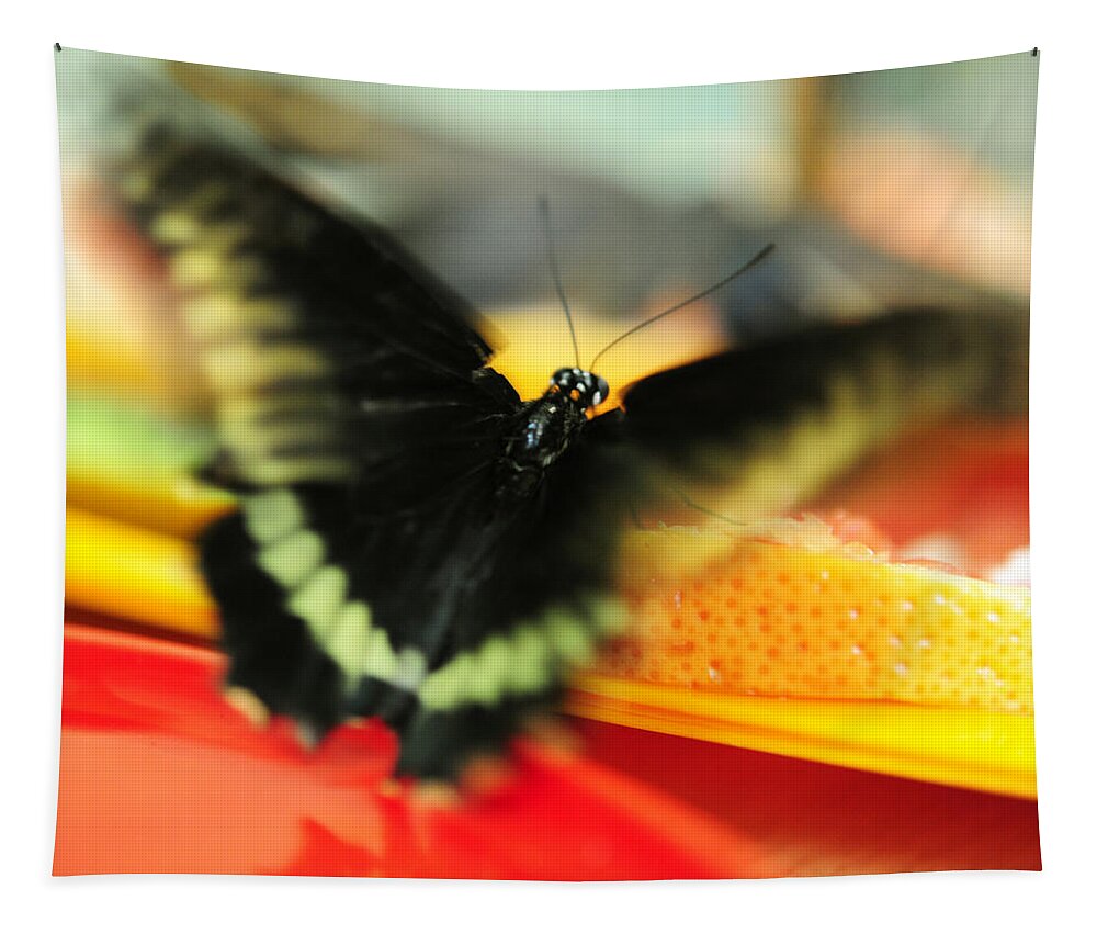 Butterfly Tapestry featuring the photograph Madame Butterfly. Impressionism by Jenny Rainbow