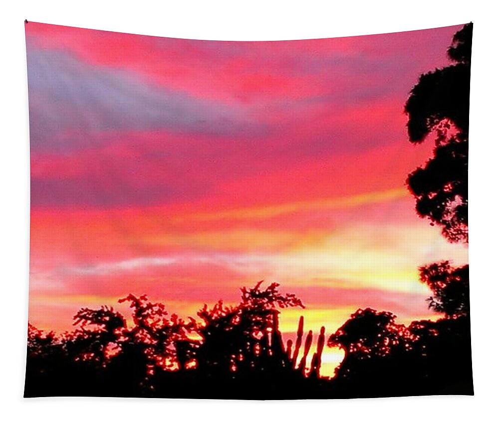 Sunset Tapestry featuring the photograph Magenta Sunset by DigiArt Diaries by Vicky B Fuller