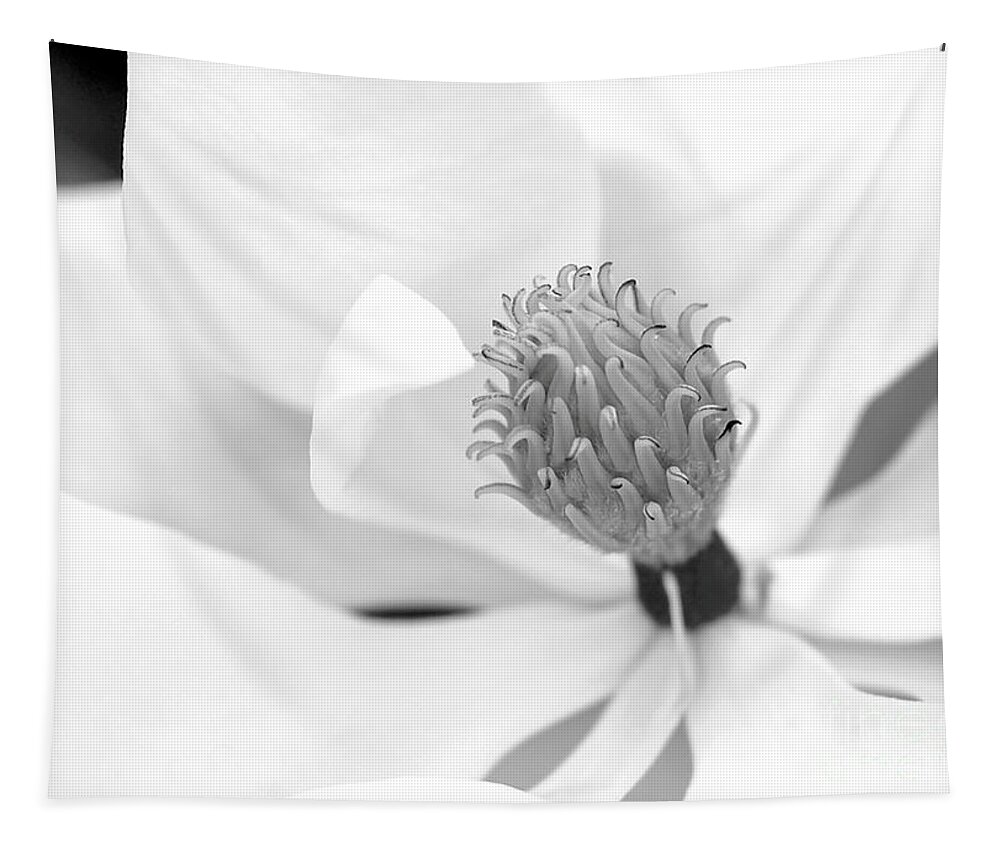  Tapestry featuring the photograph Magnolia Flower Macro by Sabrina L Ryan