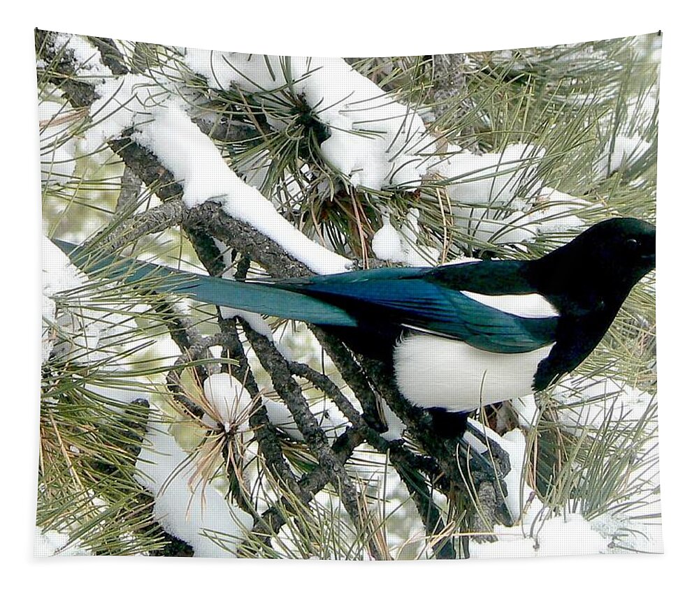 Colorado Tapestry featuring the photograph Magpie in the Snow by Marilyn Burton