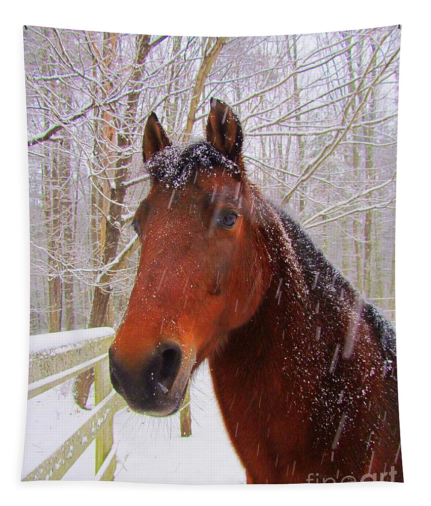 Morgan Horse Tapestry featuring the photograph Majestic Morgan Horse by Elizabeth Dow
