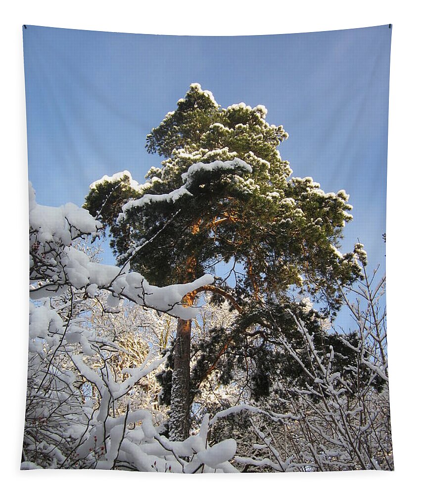 Tree Tapestry featuring the photograph Majestically in white by Rosita Larsson
