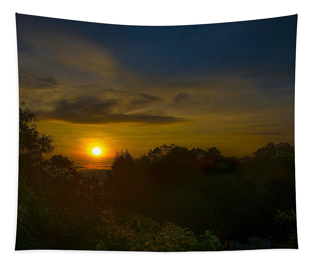 Sun Tapestry featuring the photograph Malaysia Sunrise by Bill Cubitt
