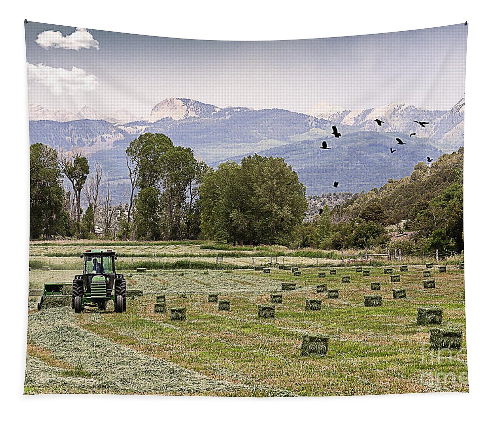 Agriculture Tapestry featuring the photograph Mancos Colorado Landscape by Janice Pariza