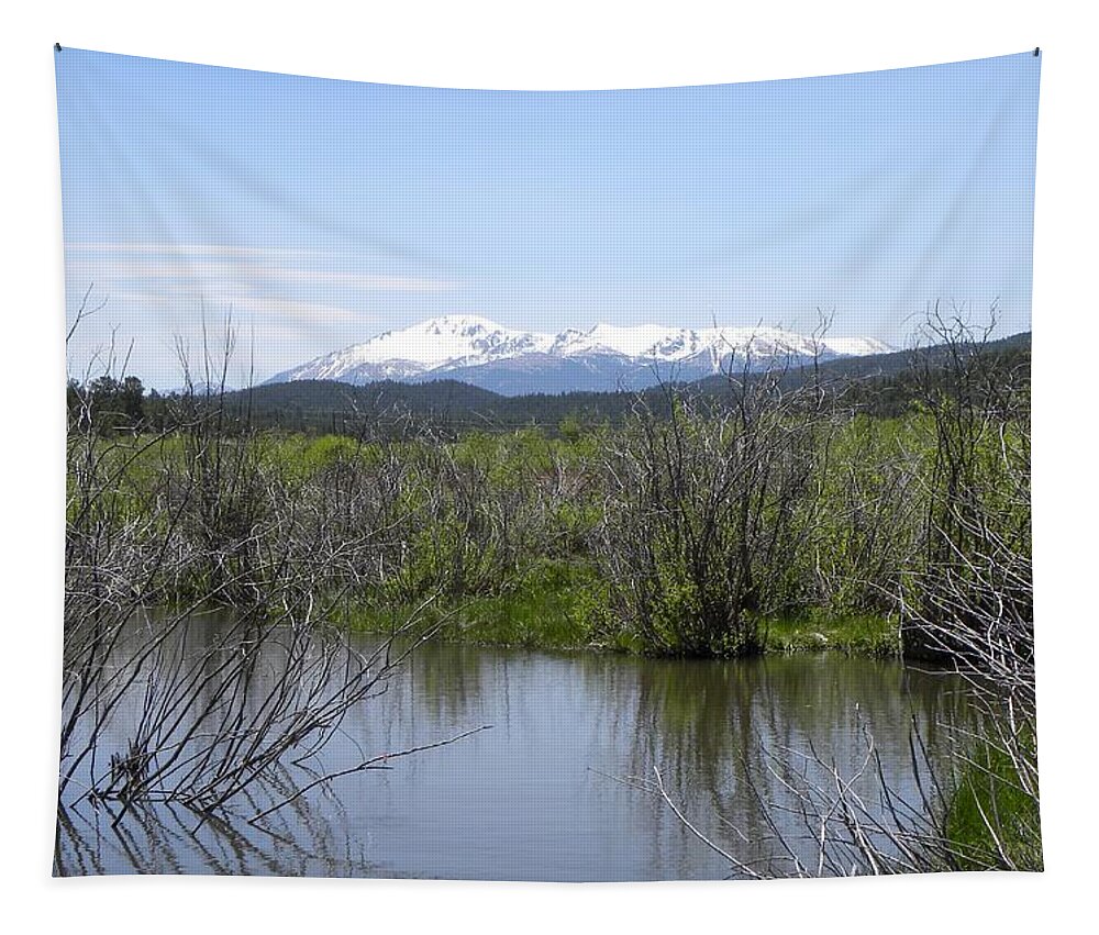 Berg Tapestry featuring the photograph Lake Manitou SP Woodland Park CO by Margarethe Binkley