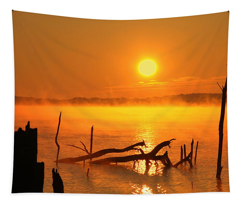 Sunrise Tapestry featuring the photograph Mantis Sunrise by Roger Becker