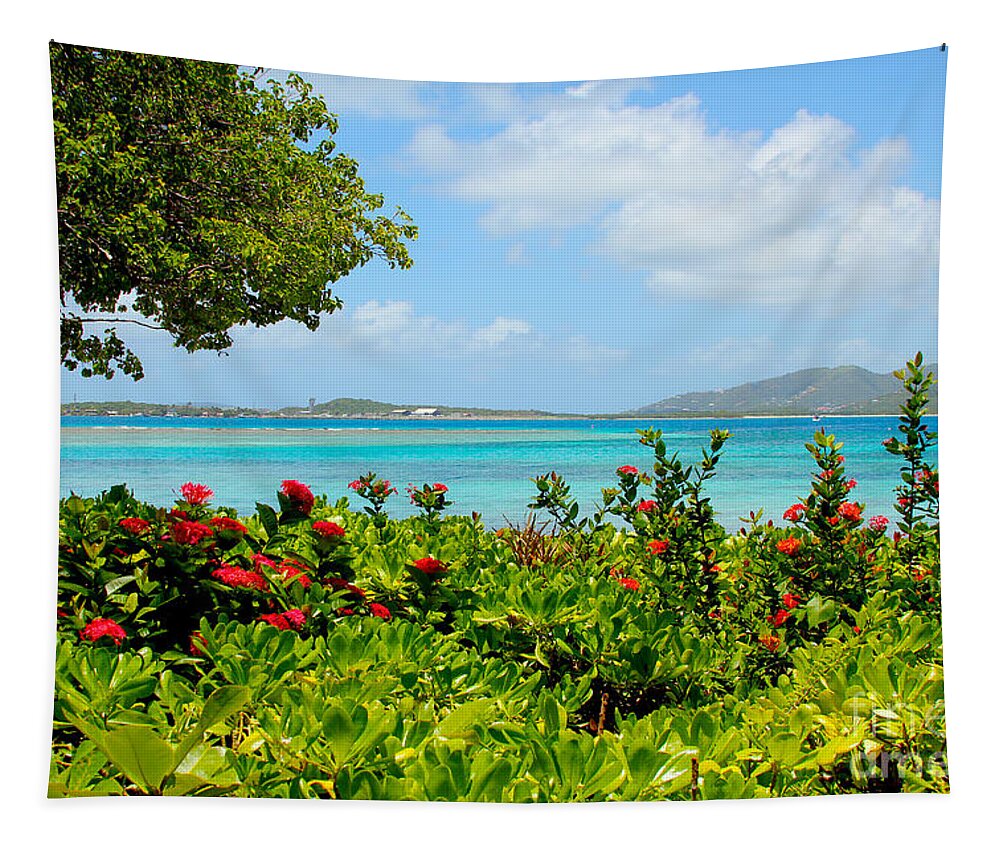 Baths Tapestry featuring the photograph Marina Cay Dock by Carey Chen