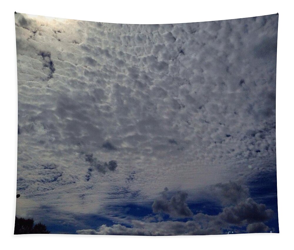 Clouds Tapestry featuring the photograph Marshmallow Clouds by Lisa Pearlman