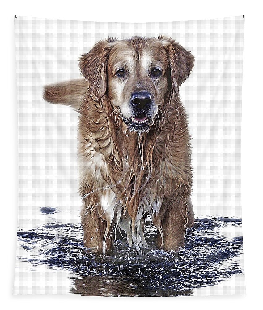Dog Tapestry featuring the photograph Master Of Wet Elements by Joachim G Pinkawa
