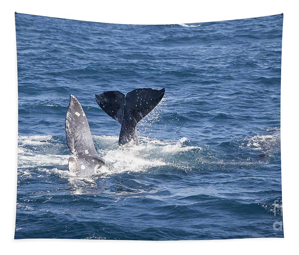 Whale Tapestry featuring the photograph Mating Time by David Millenheft