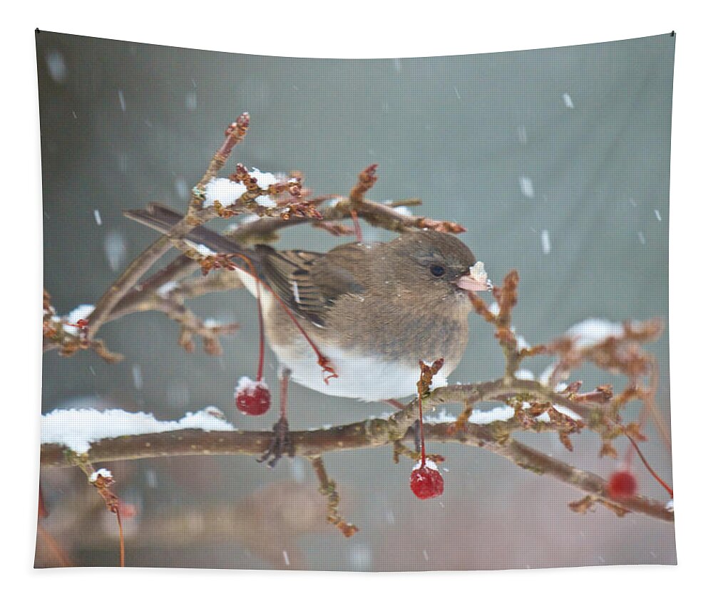 Bird Tapestry featuring the photograph Maybe a Cherry or Maybe Not by Kristin Hatt