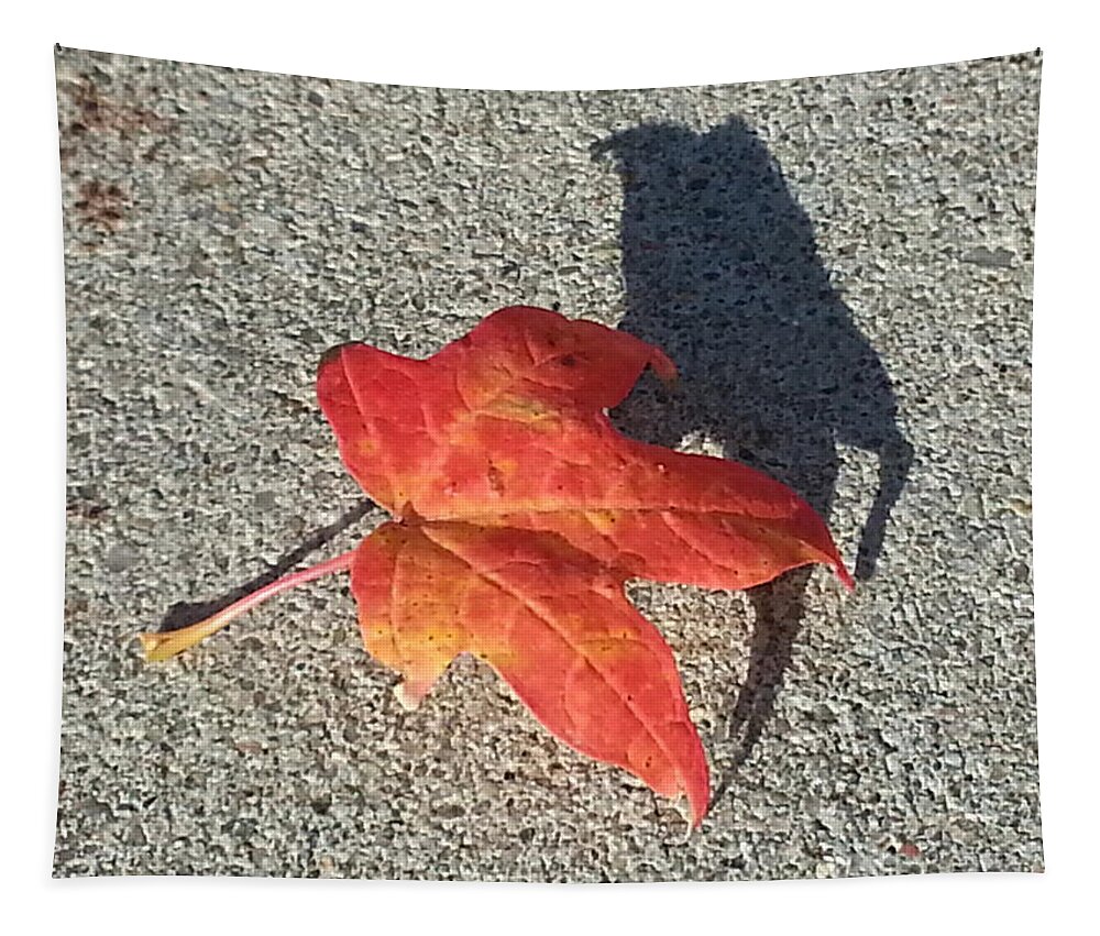 Red Leaf Tapestry featuring the photograph Me and My Shadow by Caryl J Bohn