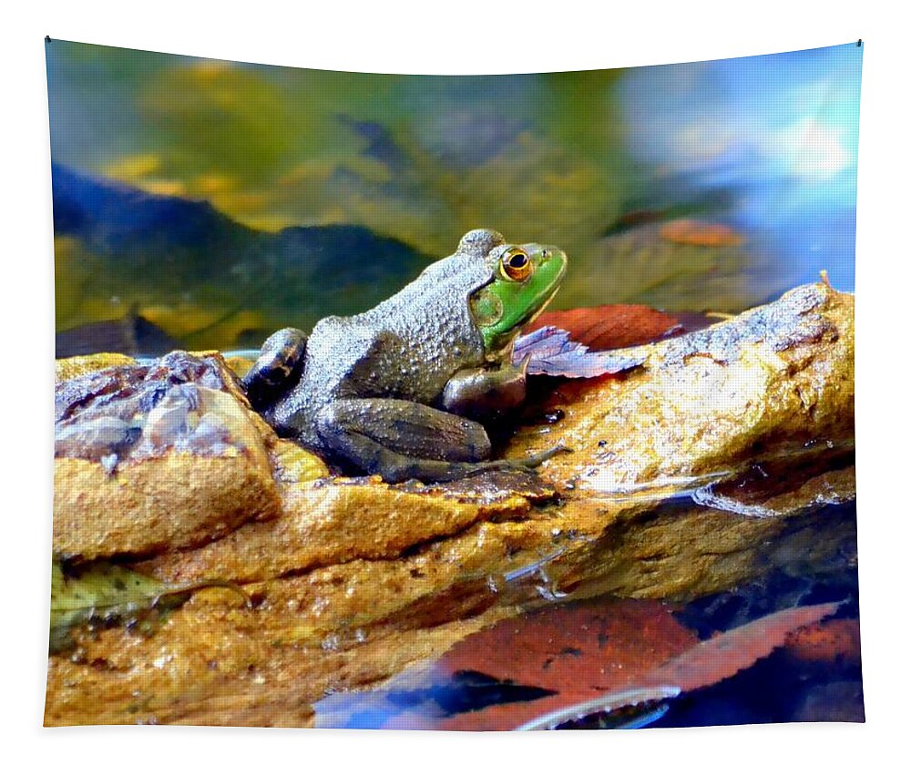 Frog Tapestry featuring the photograph Meditation by Deena Stoddard