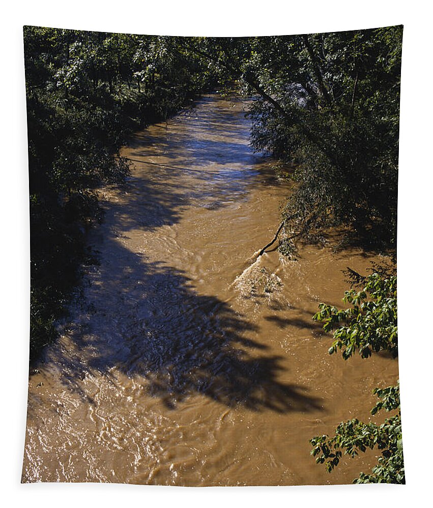 Ecology Tapestry featuring the photograph Meechums River After Flood, Virginia by Carleton Ray