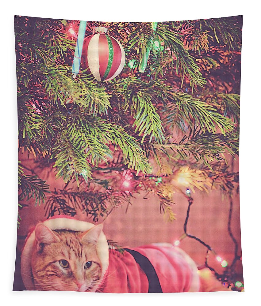 Christmas Tapestry featuring the photograph Meowy Christmas by Melanie Lankford Photography