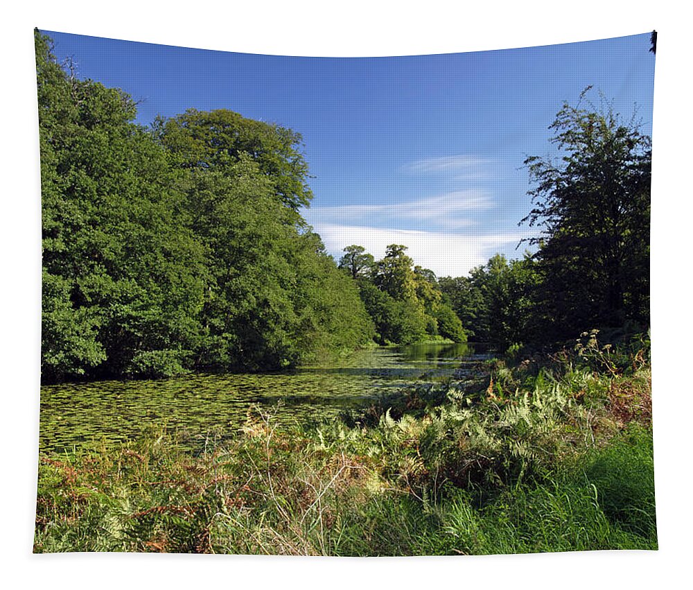 Bright Tapestry featuring the photograph Mere Pond in Calke Park by Rod Johnson