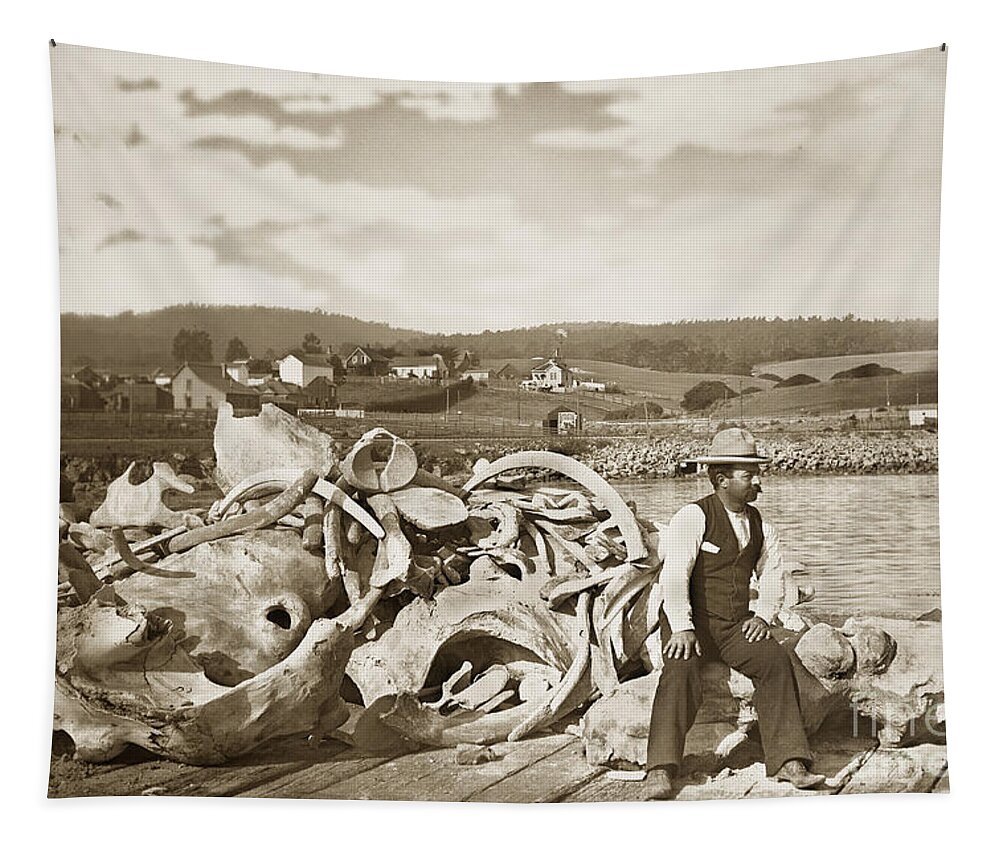 Michael Noon Tapestry featuring the photograph Michael Noon sitting on a Pile of whale bones Monterey Wharf circa 1896 by Monterey County Historical Society