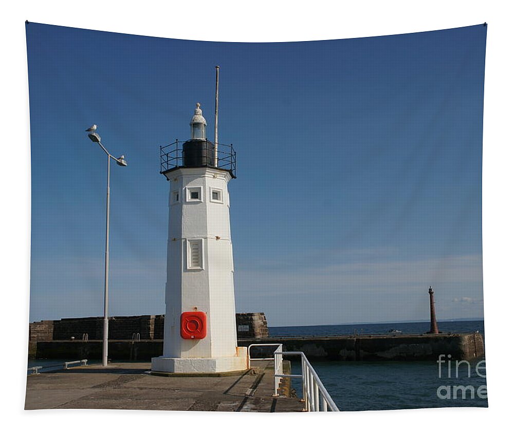 Lighthouse Tapestry featuring the photograph Mimicking a lighthouse by Elena Perelman