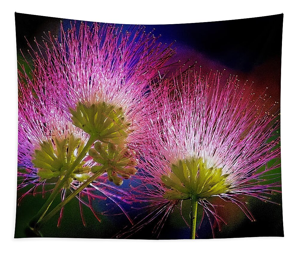 Mimosa Tapestry featuring the photograph Mimosa Blossoms by Jerry Gammon