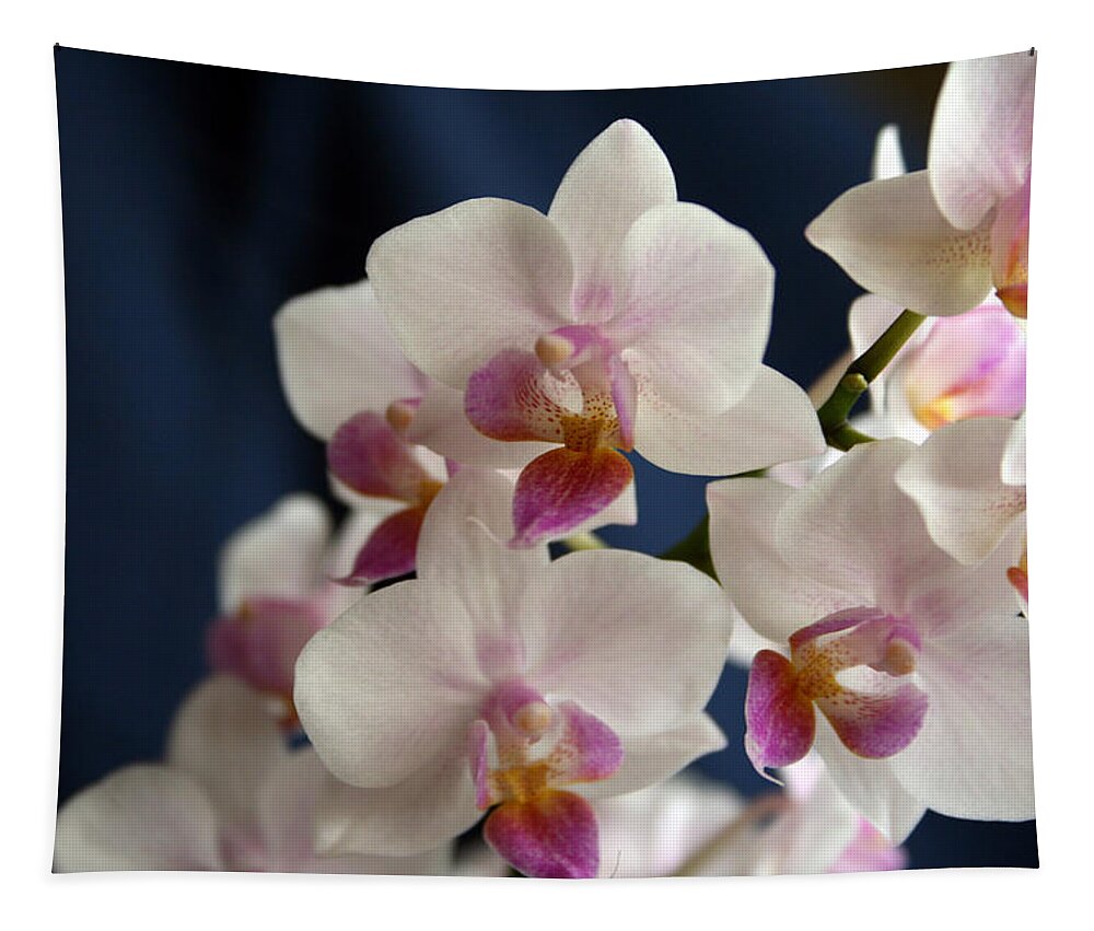 Mini Phalaenopsis Tapestry featuring the photograph Mini Orchids 3 by Marna Edwards Flavell