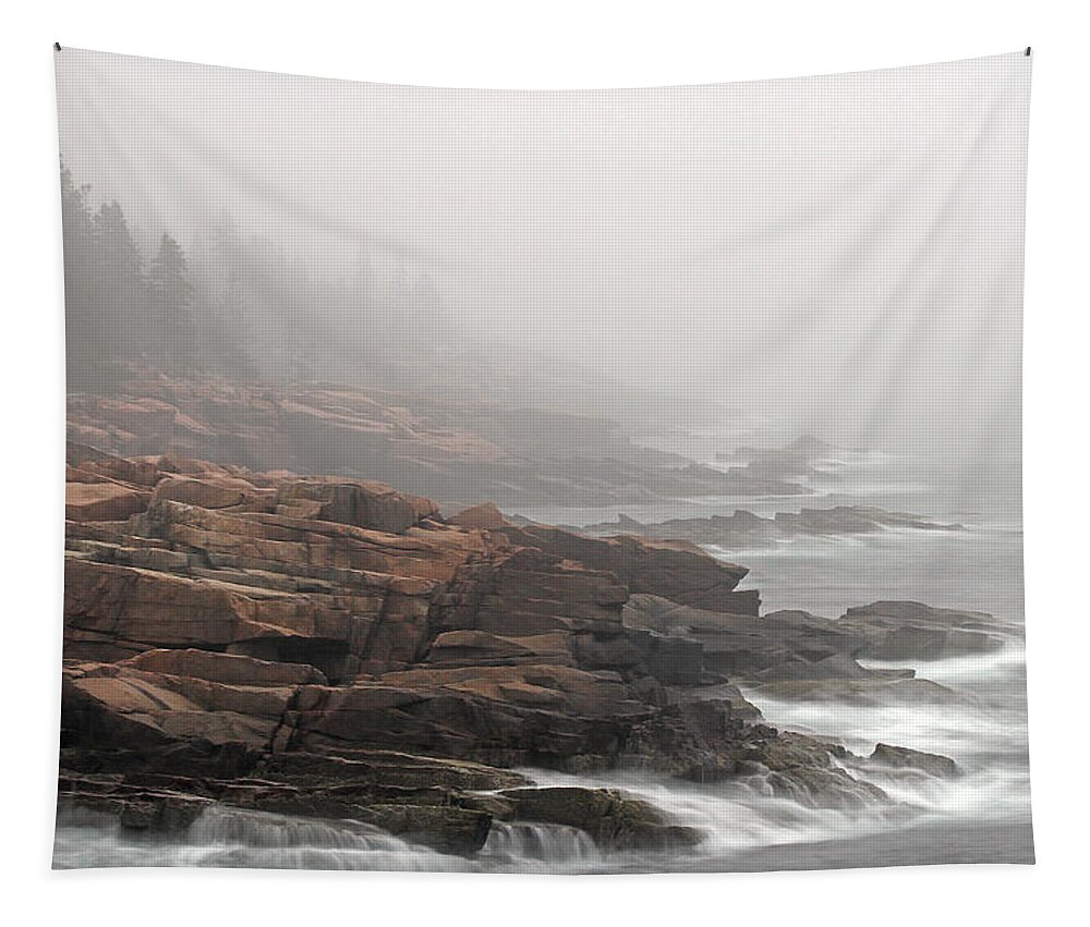 Acadia National Park Tapestry featuring the photograph Misty Acadia National Park Seacoast by Juergen Roth