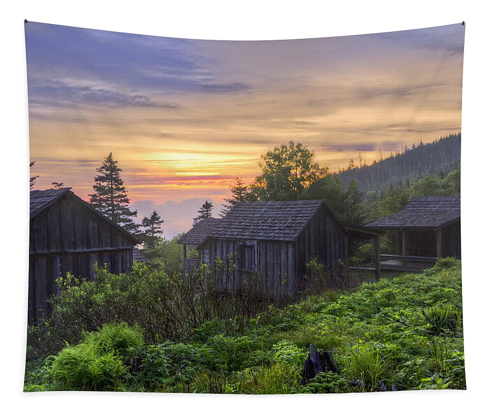 Appalachia Tapestry featuring the photograph Misty Dawn at Mt Le Conte by Debra and Dave Vanderlaan